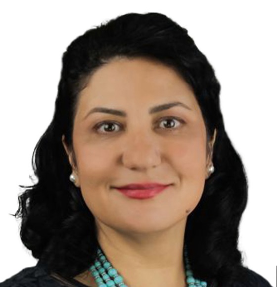 Prof. Natalie A. Afshari